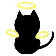 Seepaさんのアイコン画像