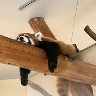 えぬさんのアイコン画像