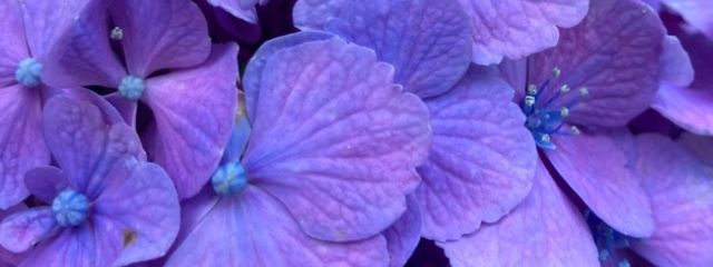 もんすた 〰️ 少女 @スランプ低浮さんの壁紙画像