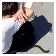 優希（のっと 本人）さんのアイコン画像