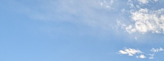 桜彩さんの壁紙画像