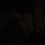 icoeさんのアイコン画像