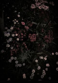 一 期 一 会 .⋆𝜗𝜚★