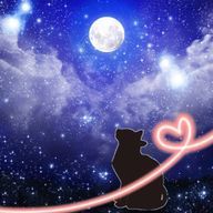 星猫さんのアイコン画像