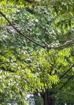 吹奏楽部話しませんか！！