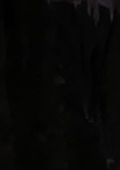 2人は"死ぬまで"進行形♡🤪🍣