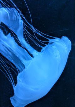 君の笑顔はどこへ…?