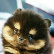 蒼空さんのアイコン画像