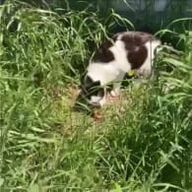 CCCJJJさんのアイコン画像