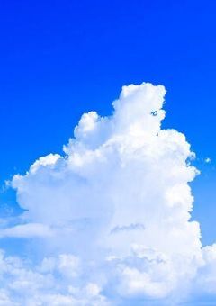 　国 立 学 園 W A R 。