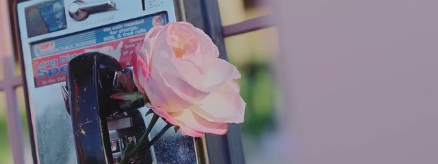 雨琦.。o○♡さんの壁紙画像