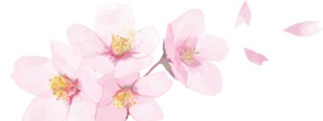 　　おもちさんの壁紙画像