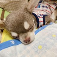 Atukoさんのアイコン画像