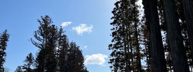 ひりさんの壁紙画像