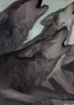 零尾の人柱力(投稿休止)