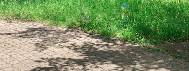 Housonさんの壁紙画像