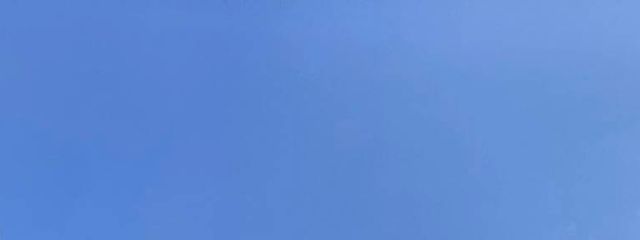 まりもさんの壁紙画像