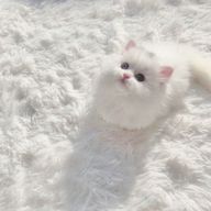 yunさんのアイコン画像