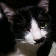 バレさんのアイコン画像