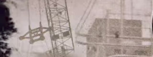 らんさんの壁紙画像