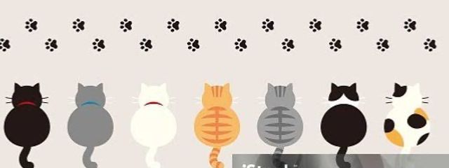 ｺﾑｷﾞｺ__蓮さんの壁紙画像