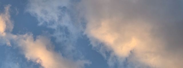 金木犀さんの壁紙画像