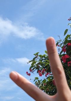 私が体験した物語