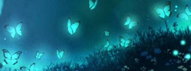 夢さんの壁紙画像