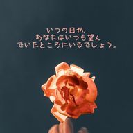 雪宮優珠🧡さんのアイコン画像