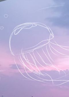 # wt の 反応集 __ .