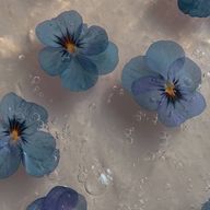 minamiさんのアイコン画像