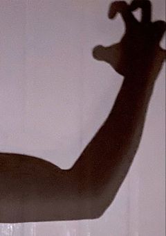 mafiaのボスは俺のセフレ