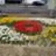 とんちゃんさんのアイコン画像