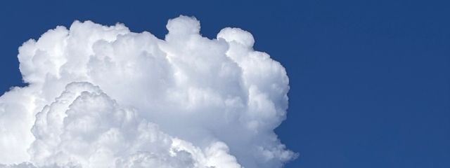 ワトさんの壁紙画像