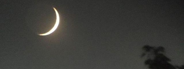 ざくろさんの壁紙画像