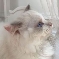 ㅎ_ㅎさんのアイコン画像