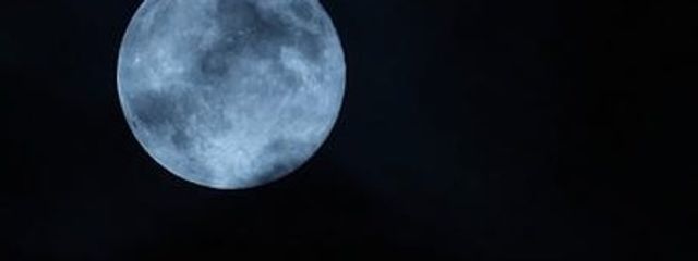 薇 蘭  "さんの壁紙画像