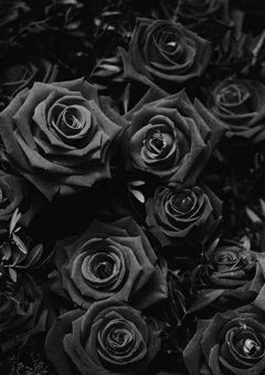 君 ハ 僕 ノ モノ ♡