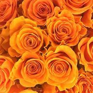 な べ . 🐑🧩 🌛🍃さんのアイコン画像