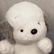 ば ぶ か い  ✩.*🍓💍⋆☽︎·̩͙ さんのアイコン画像