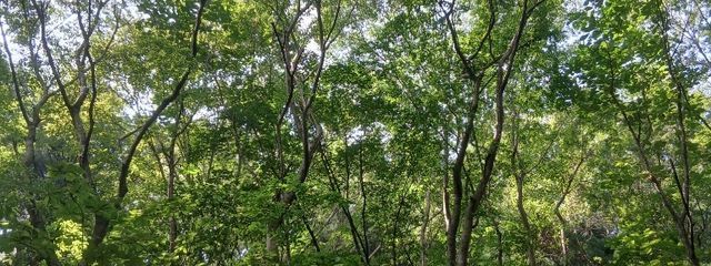 やままの双葉@卒業式終わったぞー!!!!さんの壁紙画像