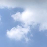 くはさんのアイコン画像