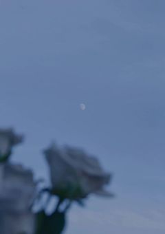 雰囲気系小説短編集｜君と見たセカイの欠片 ☁︎︎˖°.*