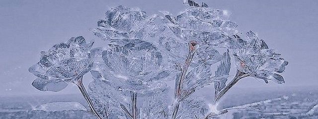   ↻ 𝐦𝐚𝐲𝐮   ＿    ‪さんの壁紙画像