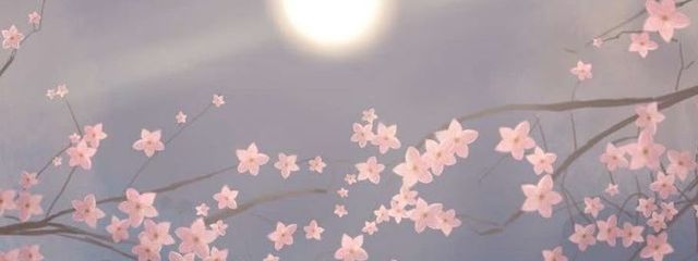 りょう。さんの壁紙画像
