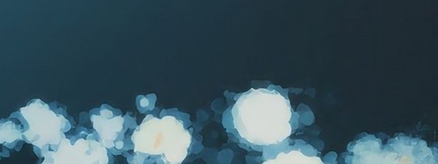 ｺﾞﾘﾝｺﾞﾘﾝ※主は気分屋です。さんの壁紙画像