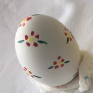 横綱さんのアイコン画像