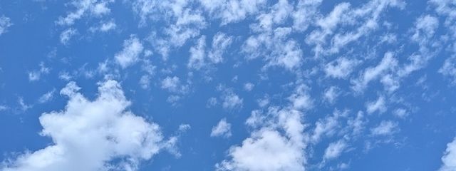 柏陽 琥珀 ✨💎　@低浮上さんの壁紙画像