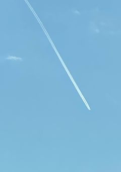 蓮さん専用☆*。