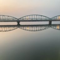 yellow roseさんのアイコン画像